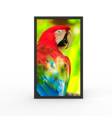 ซื้อ กันน้ํา HDMI หน้าจอดิจิตอลพาณิชย์ 49 นิ้ว Ultrawide Monitor online manufacture