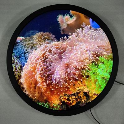 Quad-core Cortex-A53 Round Art Display เครื่องป้ายดิจิตอลที่ยืนอิสระ และจอสัมผัส optional